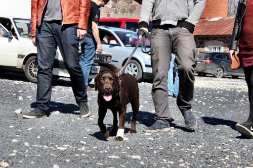 2017 05 13-10 21 38 KES 37