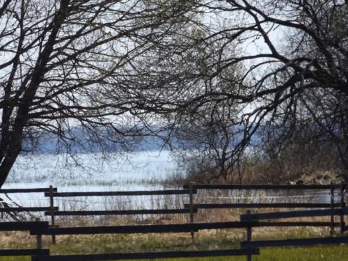 2017 05 13-10 44 44 INX 65