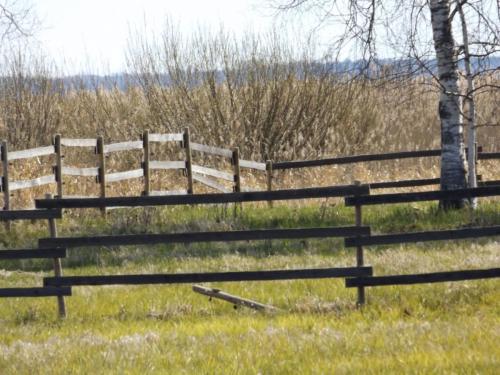 2017 05 13-10 45 05 INX 66