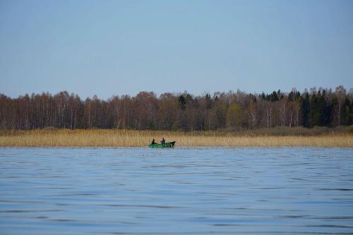 2017 05 13-11 34 09 HH 228