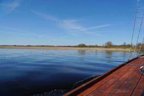 2017 05 13-11 35 33 HH 233