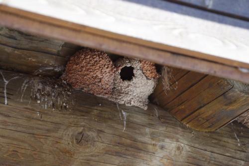 2017 05 13-11 41 21 HH 241