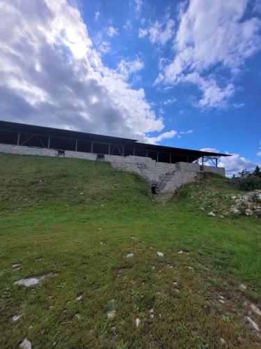 2023 08 12 12 03 34 X 244