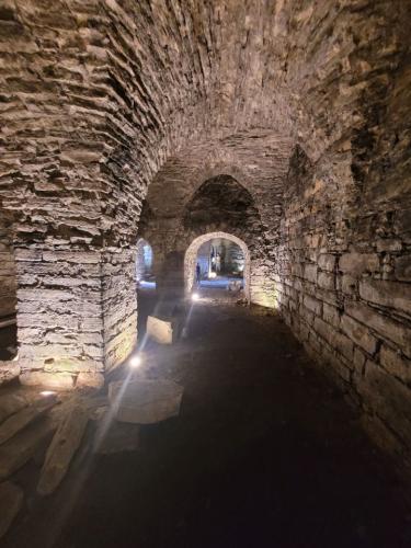 2023 08 12 12 08 35 X 264