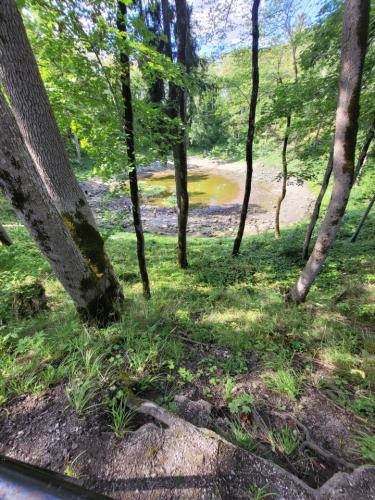 2023 08 12 15 31 58 X 345