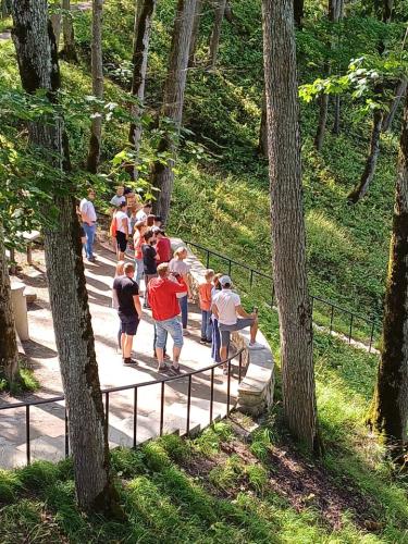 2023 08 12 15 31 59 X 346