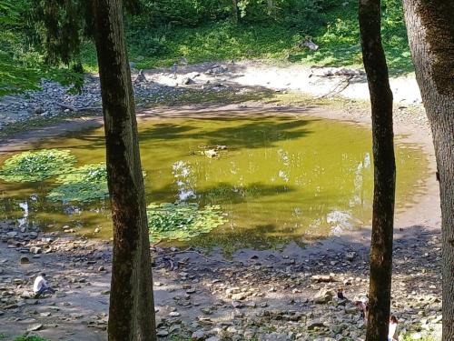 2023 08 12 15 32 47 X 348