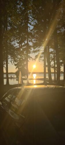 2023 08 12 20 46 38 X 398