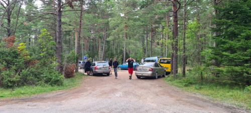 2023 08 13 10 49 54 X 405