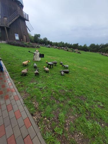 2023 08 13 11 32 02 X 410