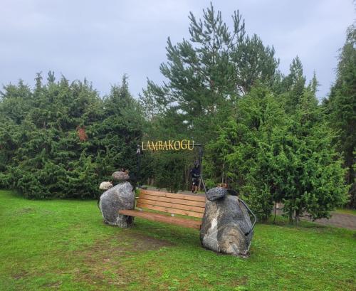 2023 08 13 11 32 19 X 411