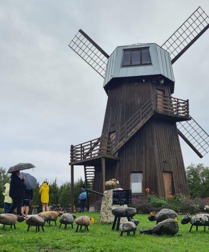 2023 08 13 11 33 35 X 413