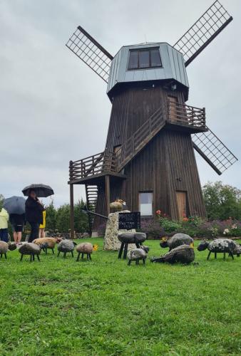 2023 08 13 11 33 37 X 414