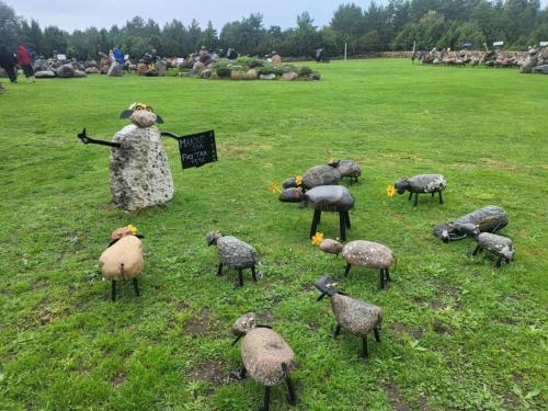 2023 08 13 11 35 44 X 416