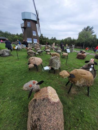 2023 08 13 11 36 04 X 419