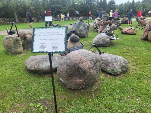 2023 08 13 11 36 37 X 422