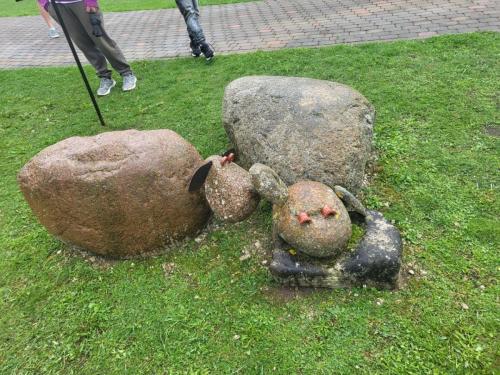 2023 08 13 11 37 30 X 428