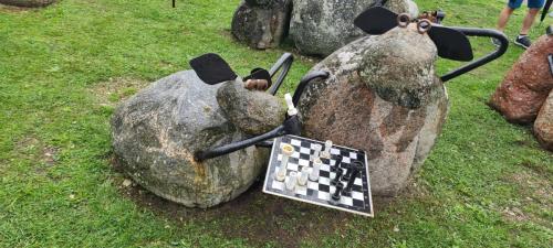 2023 08 13 11 38 19 X 435