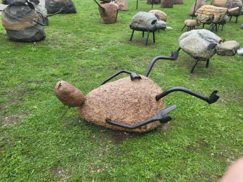 2023 08 13 11 38 48 X 441