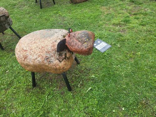 2023 08 13 11 39 23 X 446