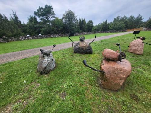 2023 08 13 11 39 53 X 451