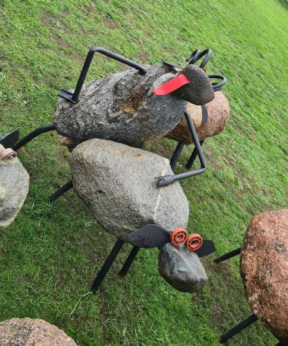 2023 08 13 11 40 11 X 453