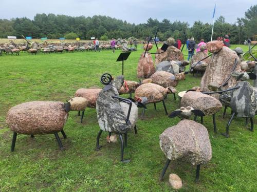 2023 08 13 11 41 21 X 463