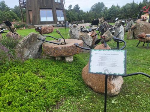 2023 08 13 11 43 07 X 475