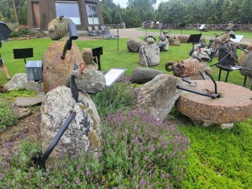 2023 08 13 11 43 23 X 478