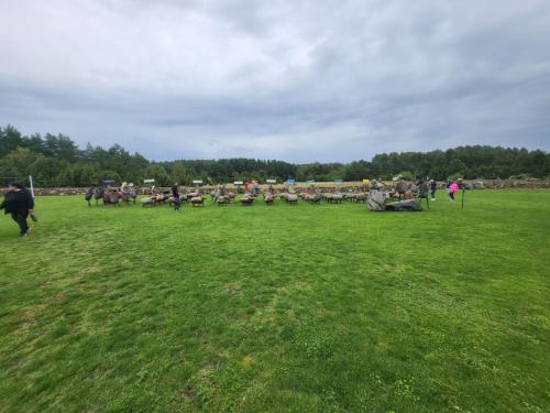 2023 08 13 11 43 39 X 480