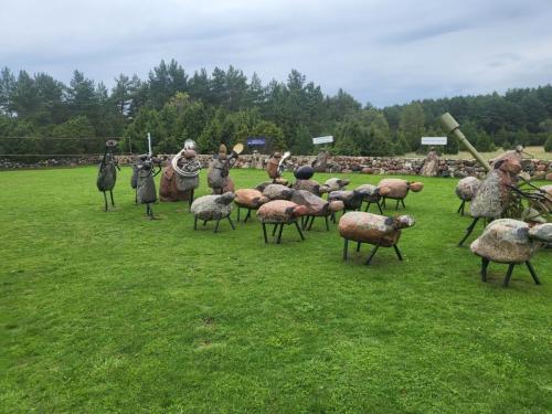 2023 08 13 11 43 54 X 482