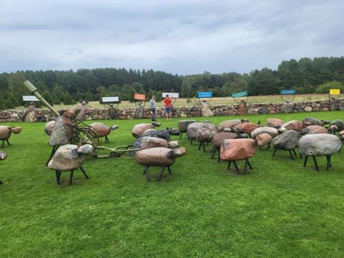 2023 08 13 11 43 56 X 484