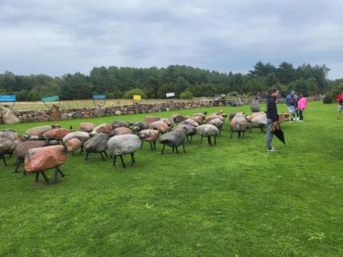 2023 08 13 11 43 59 X 485