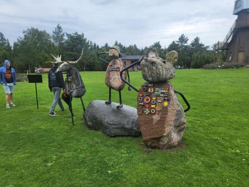 2023 08 13 11 44 09 X 486