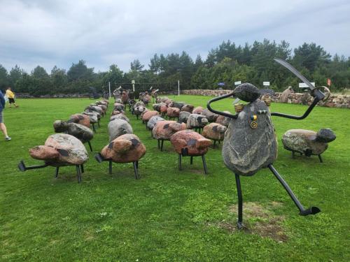 2023 08 13 11 44 33 X 490