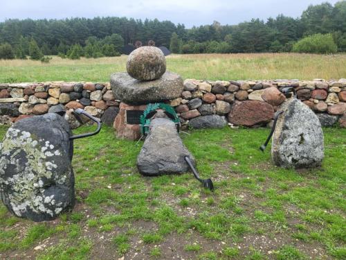 2023 08 13 11 45 03 X 493