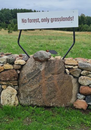 2023 08 13 11 45 27 X 497