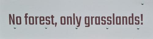 2023 08 13 11 45 43 X 499