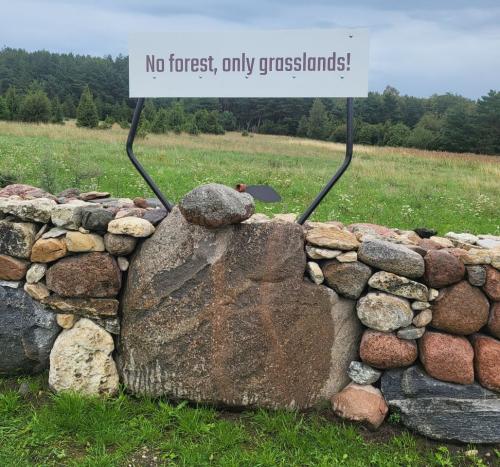 2023 08 13 11 45 58 X 500