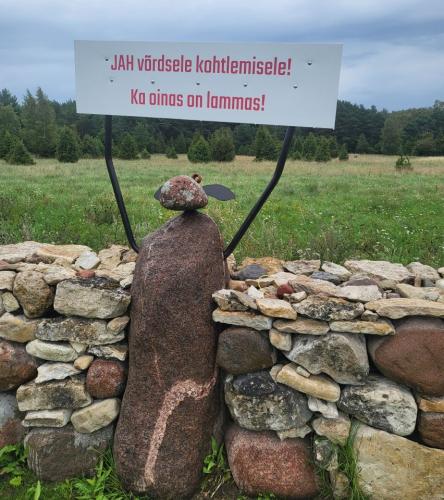 2023 08 13 11 46 32 X 507