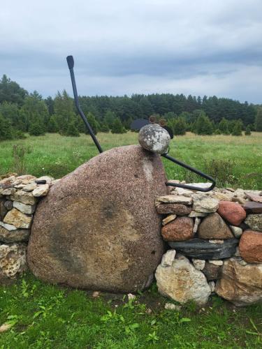 2023 08 13 11 46 52 X 510