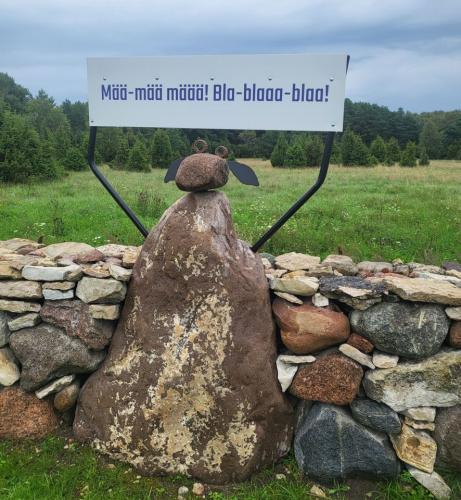 2023 08 13 11 46 58 X 511