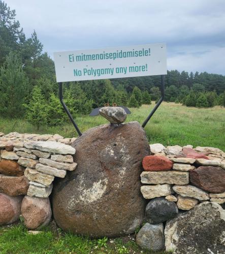 2023 08 13 11 47 08 X 512