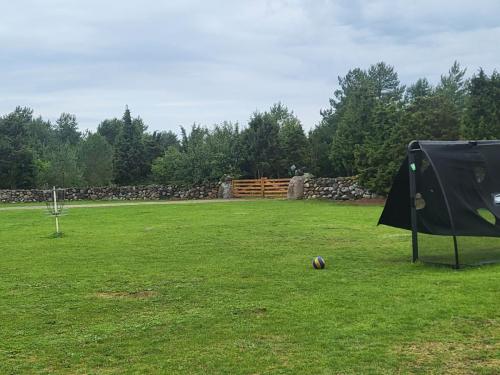 2023 08 13 11 47 44 X 515