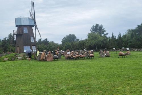 2023 08 13 11 47 52 X 516