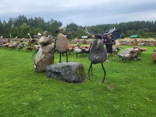 2023 08 13 11 48 33 X 519