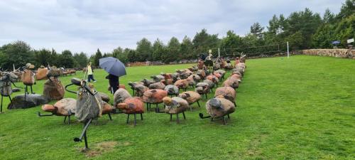 2023 08 13 11 48 36 X 520