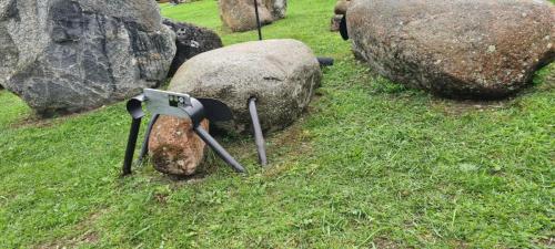 2023 08 13 11 50 21 X 529