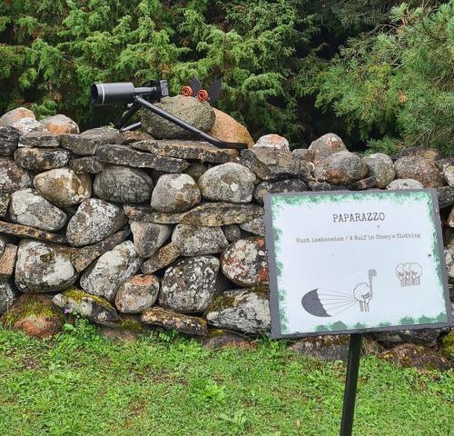 2023 08 13 11 50 46 X 534